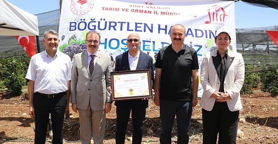 Siirt’te Böğürtlen Hasadı Başladı