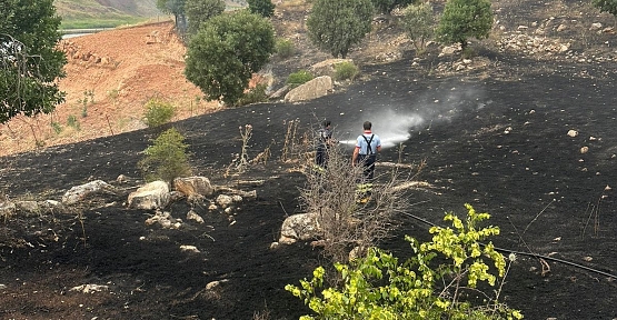 Siirt'teki Anız Yangınlarına Hızlı Müdahale