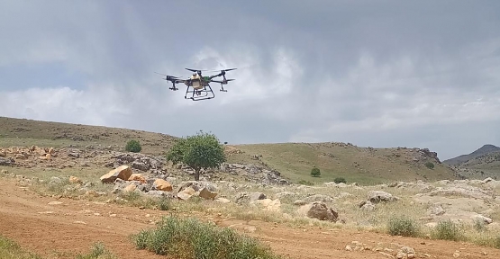 Siirt’te Çekirge Mücadelesi Kapsamında İlk Defa Dron İle İlaçlama Yapıldı