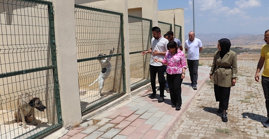 Siirt Belediye Eşbaşkanı Sofya Alağaş Sokak Hayvanları Barınağını Ziyaret Etti