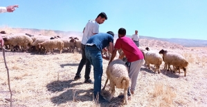 Siirt’te “Tarımda Uzman Eller’’ Projesi Hayata Geçiriliyor