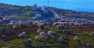 Siirt Tillo Çatılı (Sinep) Köyü Ges Tesisi Projesi Halkın Görüşüne Açıldı