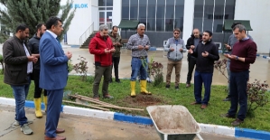 Siirt Üniversitesi Depremde Hayatını Kaybeden Öğrencileri Anısına Fidan Dikti