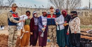 Siirt’te En Anlamlı Kadınlar Günü Kutlaması