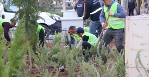 Siirt Belediyesi'nden Kent Merkezinde Yeşillendirme Çalışmaları