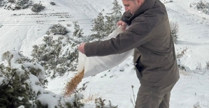 Kırsal Bölgelerdeki Can Dostlarımıza Destek: Doğaya Yem Bırakıldı