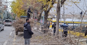 Siirt Belediyesi Şehir Merkezinde Ağaç Bakım ve Budama Çalışmalarına Devam Ediyor